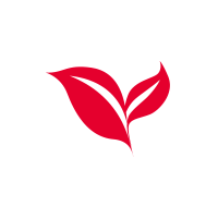 BINGYU-Fresh Picked Fragrant Tea